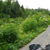 2012-06-23 - 11-05-14 SchweizTour